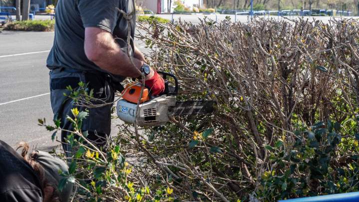 Travaux d’élagage Montluçon