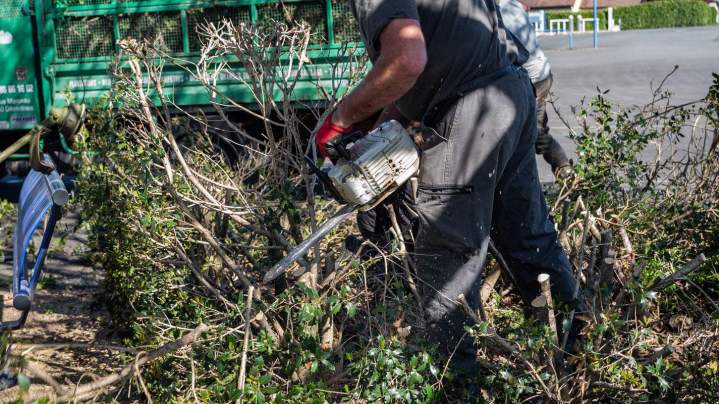 Travaux d’élagage Montluçon
