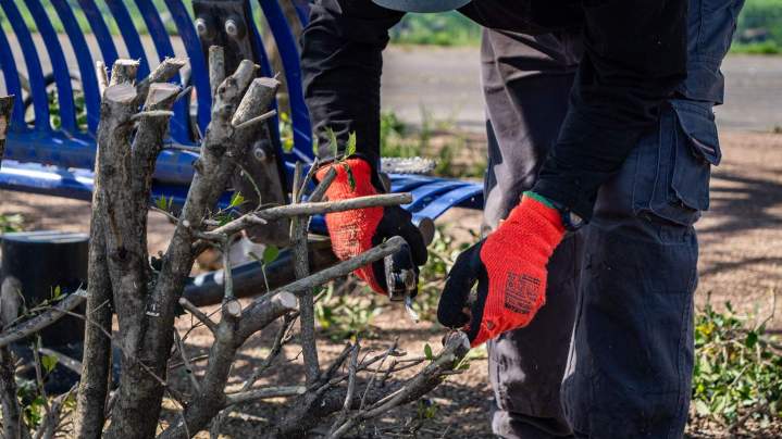 Entretien de jardin Montluçon