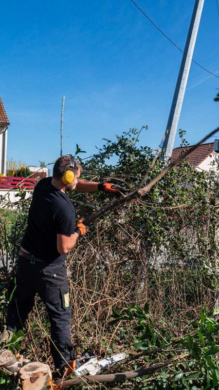 Travaux d’élagage Montluçon