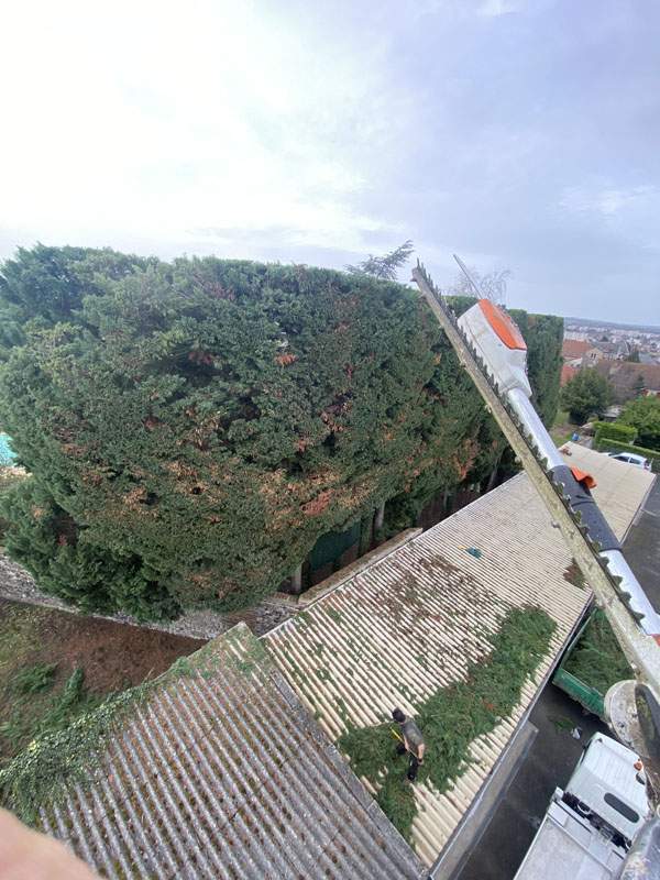 Entretien de jardin Montluçon